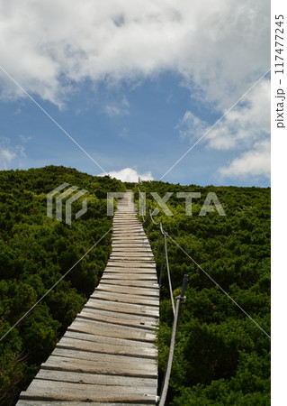 大山山頂 大山山頂 117477245
