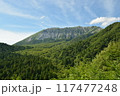 大山 117477248