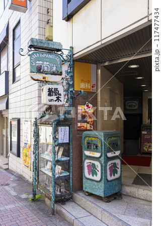 【縦写真】市ヶ谷の葡萄の木 117477434