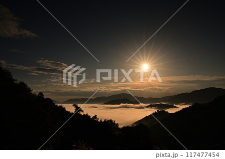 竹田城址の雲海 竹田城址の雲海 117477454