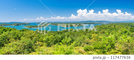 《三重県》夏の英虞湾の海岸線・ともやま公園から望むリアス式海岸 117477636