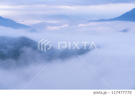 《新潟県》枝折峠の滝雲・夏の大雲海 117477770
