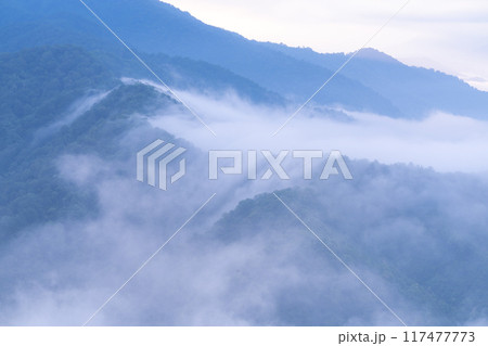 《新潟県》枝折峠の滝雲・夏の大雲海 117477773