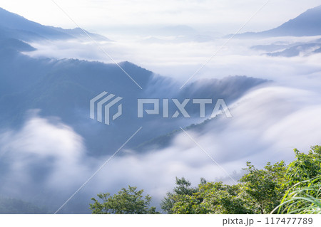 《新潟県》枝折峠の滝雲・夏の大雲海 117477789