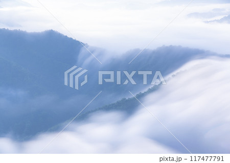 《新潟県》枝折峠の滝雲・夏の大雲海 117477791