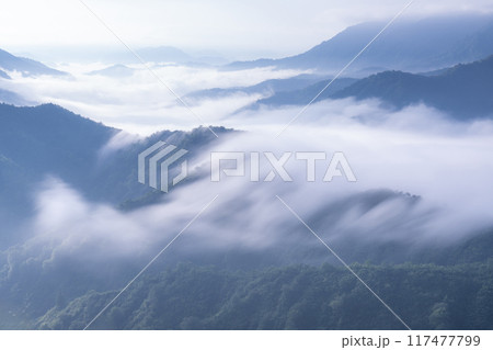 《新潟県》枝折峠の滝雲・夏の大雲海 117477799