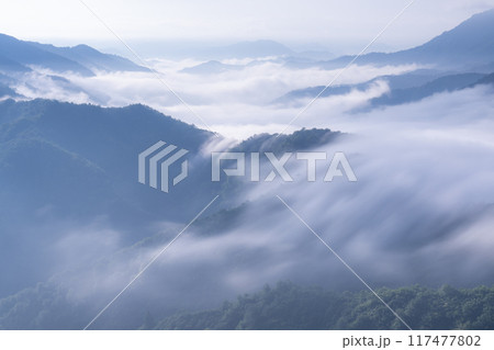 《新潟県》枝折峠の滝雲・夏の大雲海 117477802