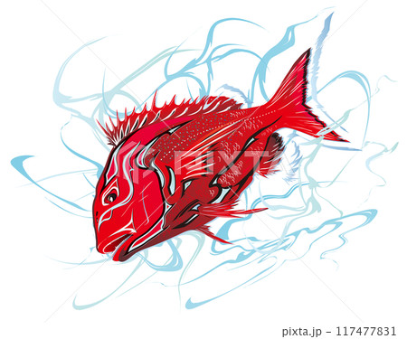 凜々しい深紅のマダイ魚体に歌舞伎隈取化粧を施した日本的イラスト（背景に本水風の水しぶき柄） 117477831