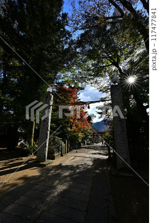 兵主神社の紅葉 117477841