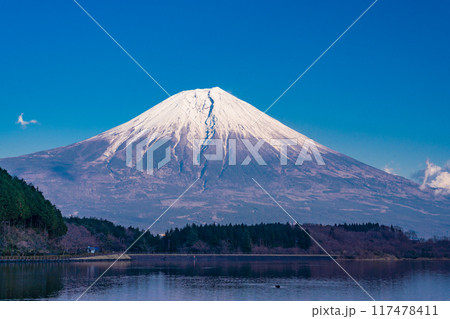 【静岡県】田貫湖畔から見る、冠雪した富士山　夕景 117478411