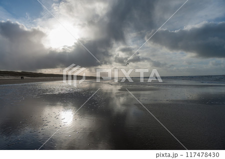 Beach reflection in North Holland Beach reflection in North Holland 117478430