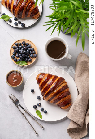 Fresh croissants with chocolate on a white plate on a light background with a blueberries Fresh croissants with chocolate on a white plate on a light background with a blueberries 117478503