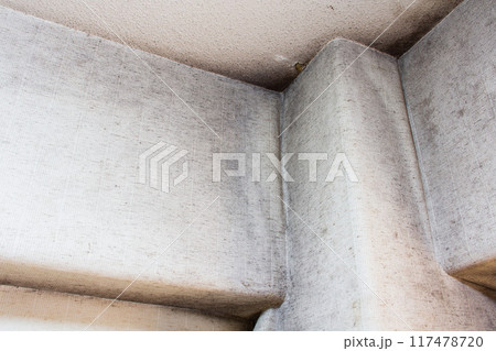 部屋の天井に生えた黒カビ 部屋の天井に生えた黒カビ 117478720