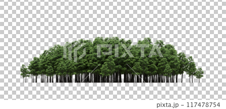 group of trees isolated on a transparent background, big trees in the forest, 3D illustration, cg render group of trees isolated on a transparent background, big trees in the forest, 3D illustration, cg render 117478754