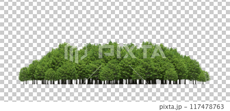 group of trees isolated on a transparent background, big trees in the forest, 3D illustration, cg render 117478763
