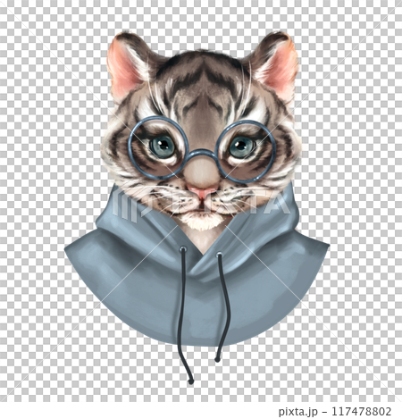 Cute tiger in blue hoody. Hand drawn animal illustration 117478802