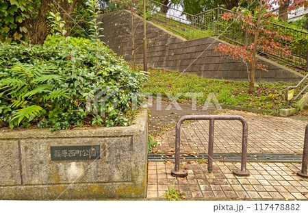 横浜市港北区　篠原西町公園　しのはらにしまちこうえん 篠原西町31　遊具の広場　樹林地　複合遊具 117478882