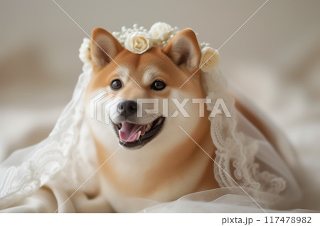 頭にウエディングヴェールを被った花嫁の柴犬　AI生成画像 117478982