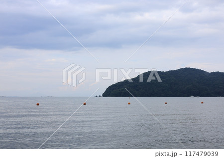 琵琶湖に浮かぶ島 117479039