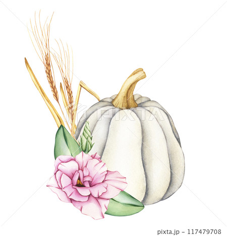 Watercolor white pumpkin with pink flowers and wheat ear. Thanksgiving holiday arrangement. Harvest concept. Hand-drawn illustration isolated on the white background. Home Decorating Idea 117479708