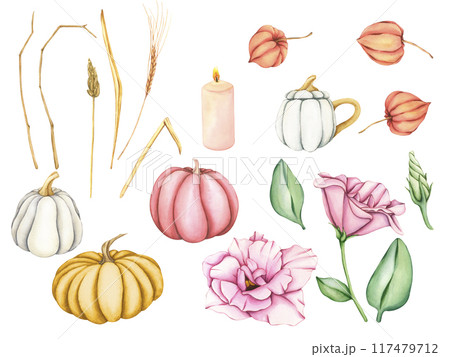Watercolor autumn set. Pumpkins in pastel colors. Pink flowers and leaves. White pumpkin-shaped mug. Wheat ear with dry leaves. Physalis buds, Wax candle. Fall harvest illustration. Thanksgiving decor Watercolor autumn set. Pumpkins in pastel colors. Pink flowers and leaves. White pumpkin-shaped mug. Wheat ear with dry leaves. Physalis buds, Wax candle. Fall harvest illustration. Thanksgiving decor 117479712