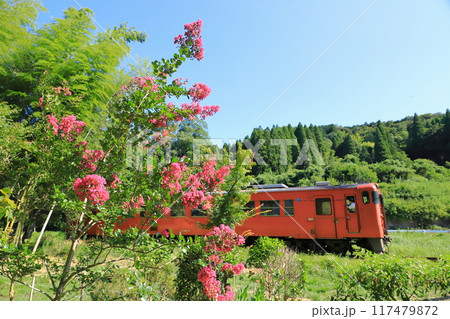小湊鐵道「サルスベリの花咲く里山風景とキハ40」 117479872