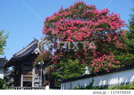 岡山県真庭市勝山にある十一面観音菩薩を本尊とする曹洞宗の寺院「化生寺 玉雲宮」：玉雲宮 117479930