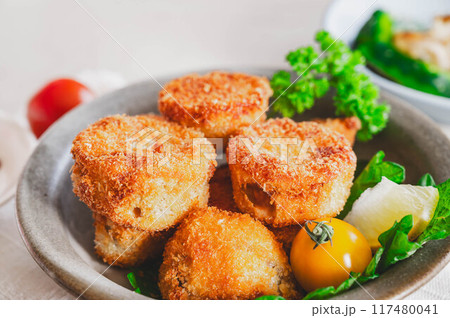 トロ白ナスのフライ 117480041