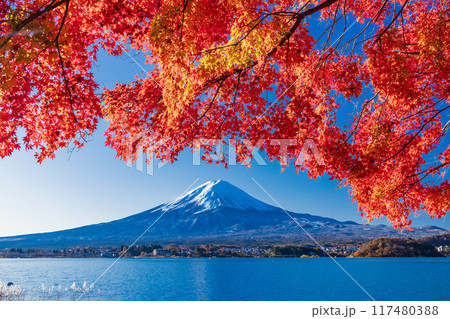 【山梨県】河口湖畔の紅葉と富士山 117480388