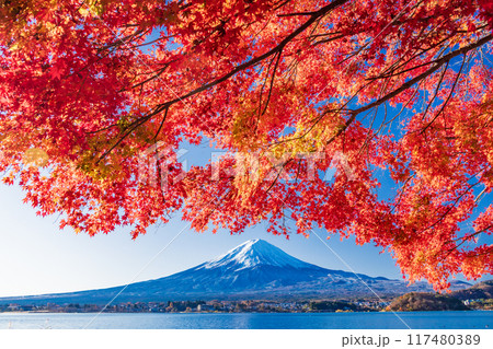 【山梨県】河口湖畔の紅葉と富士山 117480389