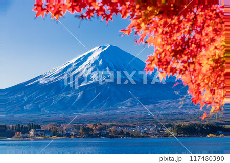 【山梨県】河口湖畔の紅葉と富士山 117480390