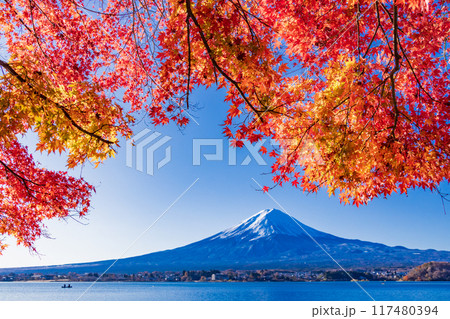 【山梨県】河口湖畔の紅葉と富士山 【山梨県】河口湖畔の紅葉と富士山 117480394