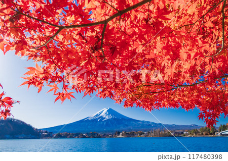 【山梨県】河口湖畔の紅葉と富士山 117480398
