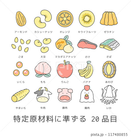 食物アレルギー特定原材料に準ずる20品目　イラストセット 117480855