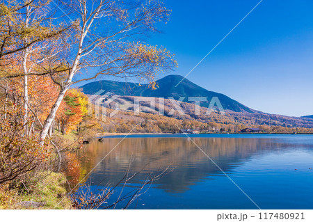 【長野県】蓼科・女神湖 湖畔の紅葉 【長野県】蓼科・女神湖 湖畔の紅葉 117480921