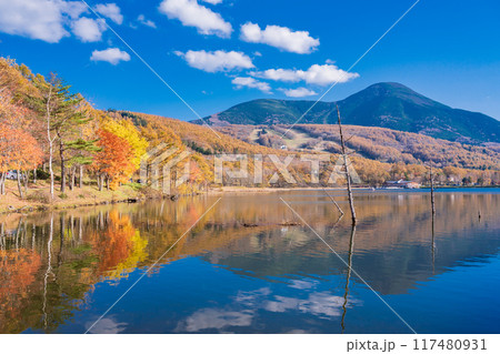 【長野県】蓼科・女神湖　湖畔の紅葉 117480931