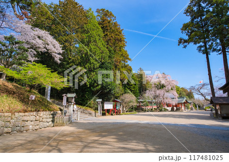 宮城県塩竈市 春の志波彦神社 境内 117481025