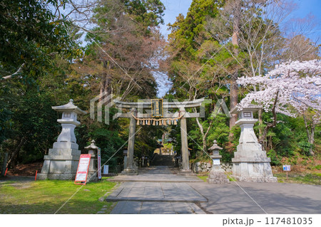 宮城県塩竈市 春の鹽竈神社 東参道石鳥居 117481035