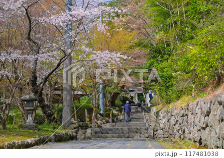 宮城県塩竈市 春の鹽竈神社 東参道 117481038