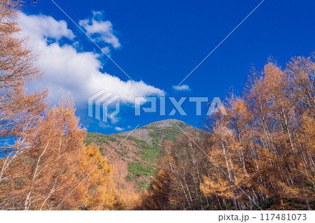 【長野県】紅葉に包まれた蓼科山 117481073