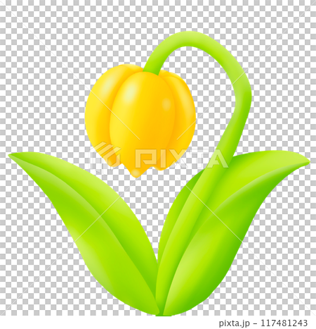 yellow flower 117481243