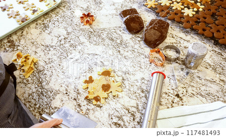 Using various festive cookie cutters, we're cutting out charming gingerbread cookies from the rolled dough on the sleek marble counter, bringing holiday cheer to the modern kitchen. 117481493