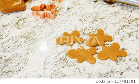 Using various festive cookie cutters, we're cutting out charming gingerbread cookies from the rolled dough on the sleek marble counter, bringing holiday cheer to the modern kitchen. 117481501