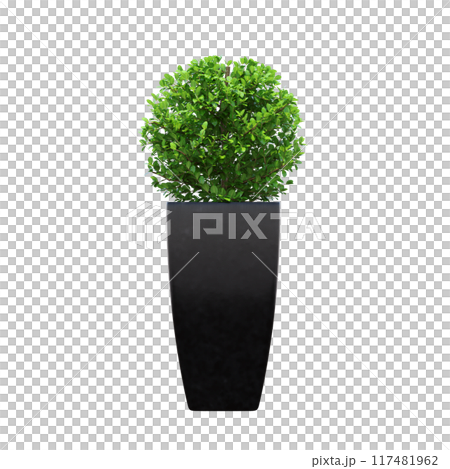 decorative flower in a pot isolate on a transparent background, 3D illustration, cg render 117481962