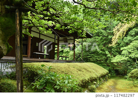 真如の庭　桂春院庭園【史蹟名勝】 117482297