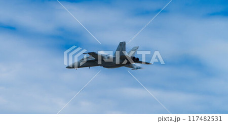 機動飛行するF/A-18ホーネット 機動飛行するF/A-18ホーネット 117482531