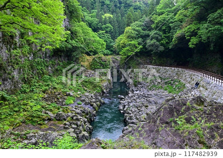 【九州・宮崎】阿蘇山の火山活動によってできた高千穂峡。浸食された断壁や真名井の滝など美しい峡谷でした 117482939