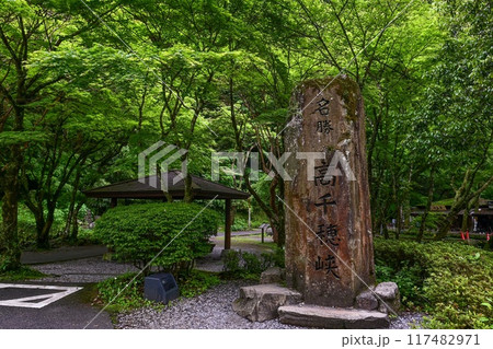 【九州・宮崎】阿蘇山の火山活動によってできた高千穂峡。浸食された断壁や真名井の滝など美しい峡谷でした 117482971