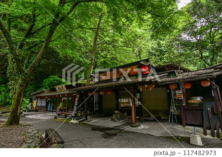 【九州・宮崎】阿蘇山の火山活動によってできた高千穂峡。浸食された断壁や真名井の滝など美しい峡谷でした 117482973