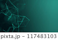 Abstract background of turquoise plexus connected by lines and dots, knots. Sea wave, depth structure. Smooth motion scientific pattern. Neural networks concept green Full HD, 4k	 117483103